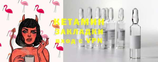 шишки Богородицк