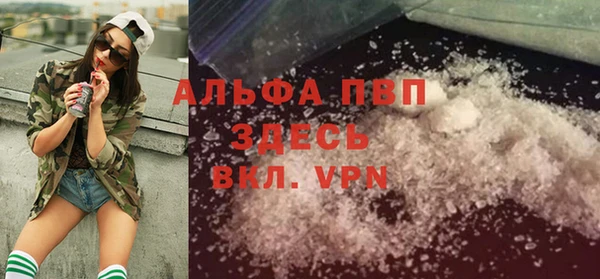 шишки Богородицк