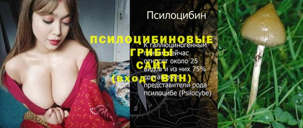 меф Белокуриха