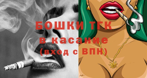 шишки Богородицк